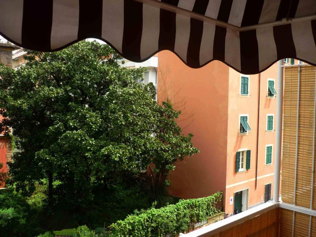 Ancora Riviera Lavagna